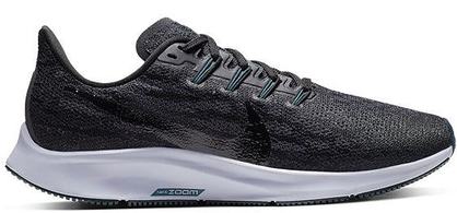 PEGASUS 36 (10)