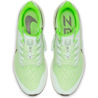 PEGASUS 36 (15)