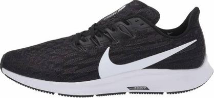 PEGASUS 36 (1)