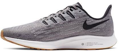 PEGASUS 36 (5)