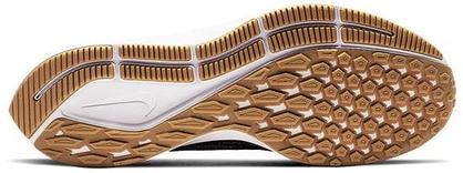 PEGASUS 36 (6)