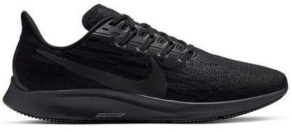 PEGASUS 36 (7)