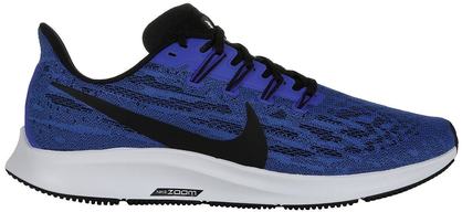 PEGASUS 36 (9)