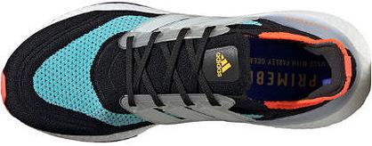 ULTRABOOS21 (1)