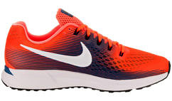 Nike Air Zoom Pegasus 34